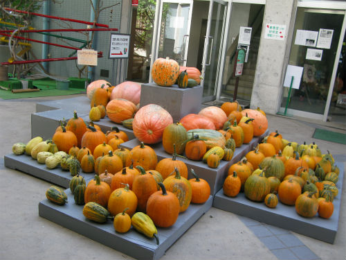 9月6日のお化けかぼちゃ