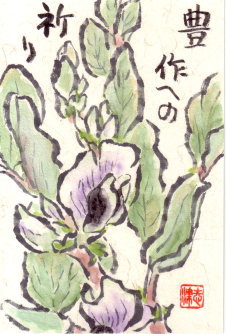 絵手紙 ： ソラマメの花