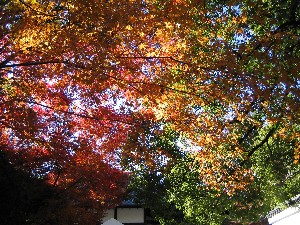 2005-12-11 16:18:47