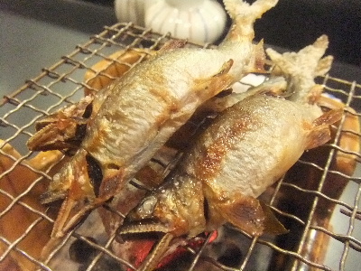 金沢　居酒屋　浜長　鮎