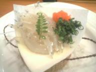 塩釜　鮨　すし哲　白魚