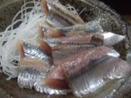 堀切菖蒲園　居酒屋　小島屋　鰯刺身