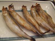 曳舟　居酒屋　三祐酒場　シシャモ