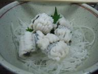 大阪　居酒屋　明治屋　鱧