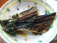 会津若松　居酒屋　麦とろ　鰊