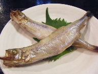 立石　居酒屋　二毛作　シシャモ