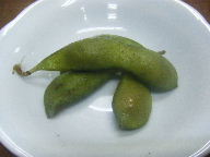 築地　小田保　お通し