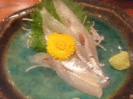 金沢　居酒屋　近江町食堂　刺身