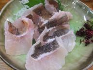 立石　居酒屋　さくらい　メバル刺身