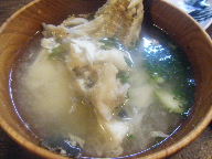 益田　居酒屋　田吾作　カワハギ