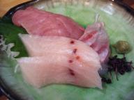 立石　居酒屋　さくらい