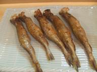 静内　居酒屋　い炉り　ししゃも