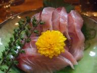 立石　さくらい　刺身