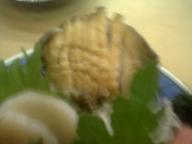 千住大橋　居酒屋　田中屋　アワビ