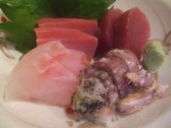 札幌　居酒屋　魚菜　刺身