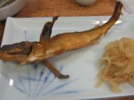 弘前　居酒屋　しまや　はたはた