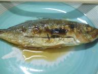 大阪　立ち飲み　稲田酒店　肴