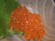 仙台　居酒屋　かん　お通し２