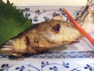 立石　居酒屋　鳥ひで　鮎塩焼き