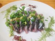 北見　居酒屋　居酒屋倶楽部　秋刀魚刺身