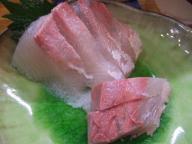 立石　居酒屋　さくらい　刺身