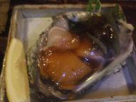 秋田　居酒屋　酒盃　牡蠣