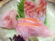 立石　居酒屋　さくらい　刺身