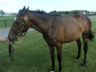 ホールオブフェーム08