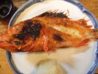 気仙沼　居酒屋　福よし　吉次