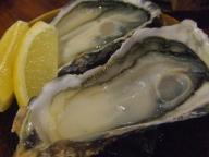 仙台　居酒屋　酔亭よっちゃん　生牡蠣