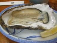 福島　居酒屋　たこ寅　生牡蠣