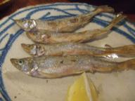 仙台　居酒屋　酔亭よっちゃん　本物のししゃも