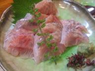 立石　居酒屋　さくらい　たかべ刺身