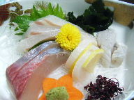 益田　居酒屋　かすり　刺身