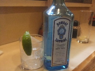 立石　居酒屋　鳥ひで　ジン