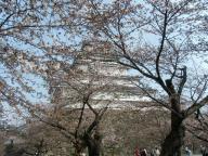 会津若松　鶴ヶ城