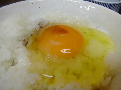 鳥藤　卵ご飯