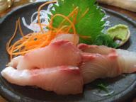 四つ木　居酒屋　ゑびす　刺身