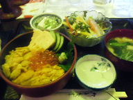 築地　マックモア　うに丼セット