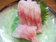 立石　居酒屋　さくらい　アイナメ刺身