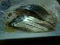 大阪　居酒屋　明治屋　きずし