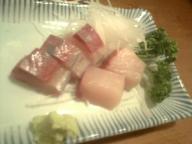 神戸　居酒屋　金盃　はまち刺身