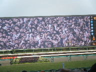 中山競馬場　有馬記念