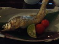 大阪　居酒屋　佳酒真楽まゆのあな　鮎