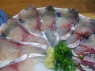 立石　居酒屋　さくらい　釣り鯵刺身