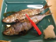 北千住　居酒屋　大はし　鰯塩焼き