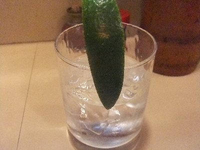 立石　居酒屋　鳥ひで　ギムレット