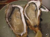 仙台　居酒屋　酔亭よっちゃん　生牡蠣