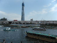 浅草　スカイツリー