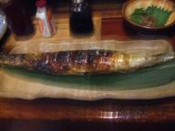 仙台　居酒屋　なんかんや　釧路の秋刀魚